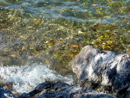 Ufer mit kristallklarem Seewasser und Herbstlaub  2