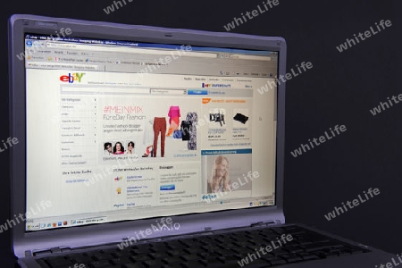 Website, Internetseite, Internetauftritt des Internetauktionshauses ebay auf Bildschirm von Sony Vaio  Notebook, Laptop