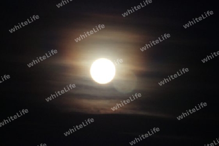 Vollmondnacht - Full Moon Night