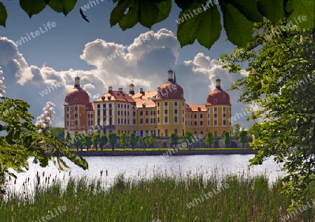 Jagdschloss Moritzburg bei Dresden zur Kastanienbluete, Castle Moritzburg at springtime