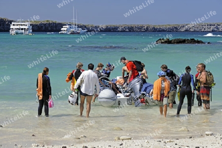 Touristen besteigen Schlauchboot,  Darwins Bay,  Insel Genovesa,  Galapagos, Unesco Welterbe,  Galapagos, Ecuador, Suedamerika, Pazifik