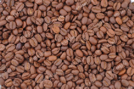 Coffee Bean Background 2