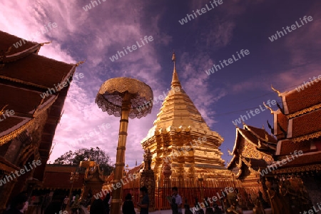 Der Chedi der Tempel Anlage des Wat Phra That Doi Suthep bei Chiang Mai in der Provinz Chiang Mai im Norden von Thailand in Suedostasien.
