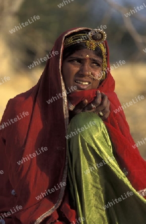 a women  in the town of Jaisalmer in the province of Rajasthan in India.
