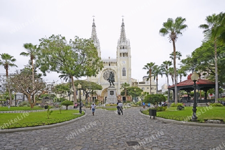 Parque Seminario oder auch Parque Bolivar oder Parque de las Iguanas,  Iguanapark, Guayaquil, Ecuador, Suedamerika
