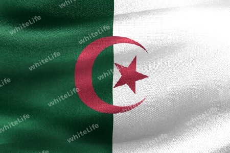 Algeria flag - realistic waving fabric flag