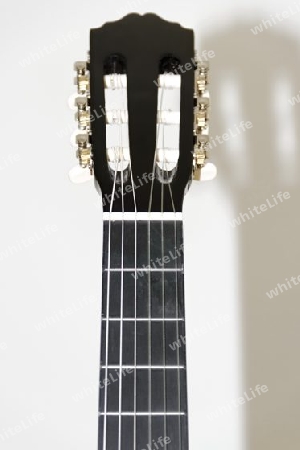 guitar neck with shilouette