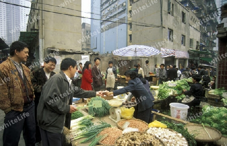 a market street in the city of Chongqing in the province of Sichuan in china in east asia. 