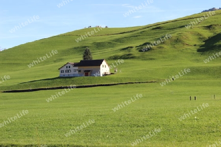 Bauernhof im Appenzell