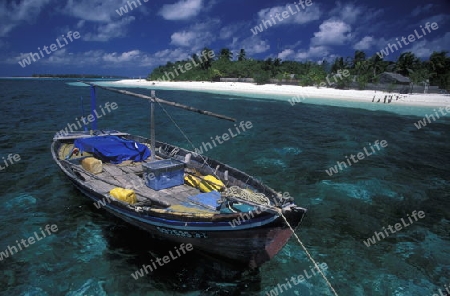 
Die Einheimischen Insel Dhangethi unweit der Insel Meeru im Northmale Atoll auf den Inseln der Malediven im Indischen Ozean.   
