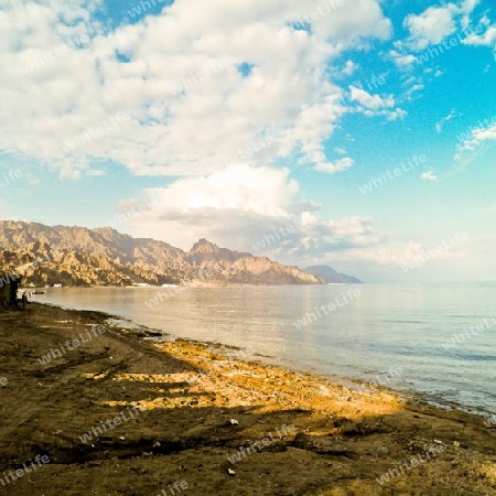 view to red sea