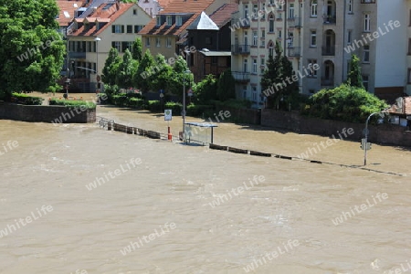 Heidelberg Hochwasser