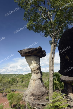 Die Landschaft und Pilzfoermigen Steinformationen im Pha Taem Nationalpark in der Umgebung von Ubon Ratchathani im nordosten von Thailand in Suedostasien.