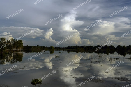 Eine Lagune bei Khong Chiam in der Umgebung von Ubon Ratchathani im nordosten von Thailand in Suedostasien.