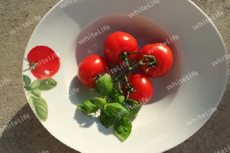 Teller mit Tomaten und Basilikum