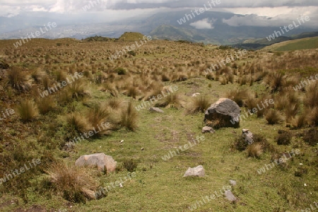 Hochplateau an den Haengen des Vulkans Pichincha, bei Quito, der Hauptstadt Equadors