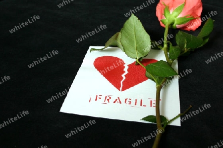 Fragile (Liebe ist zerbrechlich ...)