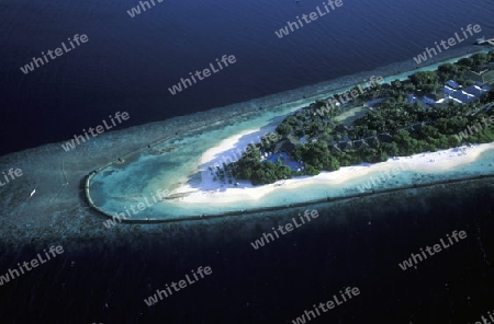 
Eine Luftaufname mit Strand und deren Schutzmauern der Insel Lily Beach im Ari  Atoll auf den Inseln der Malediven im Indischen Ozean. 