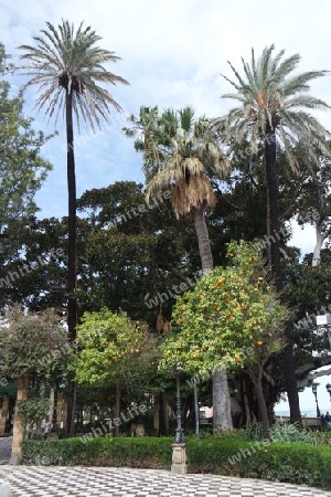 Park in Cadiz, Andalusien
