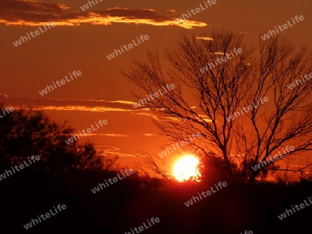 Outback Sunset, Australien