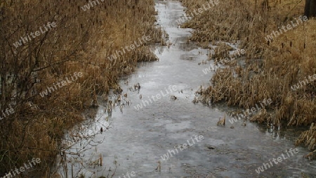 Flussbett im Winter