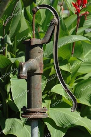 Schwengelpumpe - hand operated pump