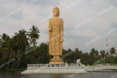 Buddha Statue in Peraliya  - Sri Lanka