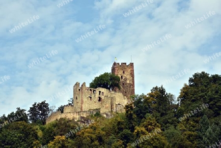 Ruine Kastelburg Waldkirch im Breisgau