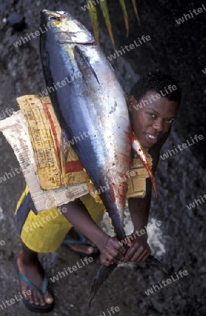 a men in the city of Moutsamudu on the Island of Anjouan on the Comoros Ilands in the Indian Ocean in Africa.   