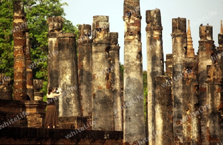 Pfeiler  im Wat Mahathat Tempel in der Tempelanlage von Alt-Sukhothai in der Provinz Sukhothai im Norden von Thailand in Suedostasien.