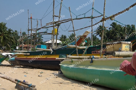 Fischerboote in Galle - Sri Lanka