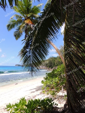 Seychellen Strand Meer Indischer Ozean