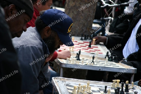 Schach Spielen in San Francisco