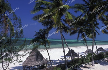 Der Traumstrand  von Michamvi am Chwaka Bay an der Ost-Kueste auf der Insel Zanzibar welche zu Tansania gehoert.         