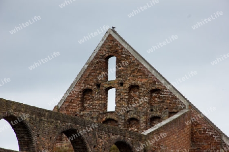 Ruine in Bad Doberan