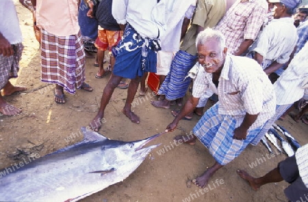 Asien, Indischer Ozean, Sri Lanka,
Fischer im Kuestendorf Negombo an der Westkueste von Sri Lanka. (URS FLUEELER)







