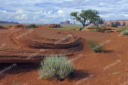 Typische Landschaftsform im Mystery Valley, Arizona, USA
