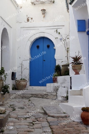 Eine Gasse in der Altstadt von Sidi Bou Said noerdlich von Tunis am Mittelmeer in Tunesien in Nordafrika..