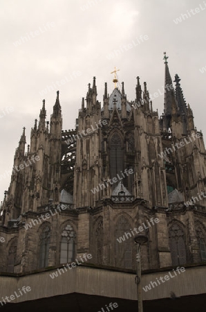 Kathedrale, Dom auf dem Betontablett (2)