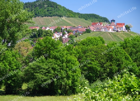 Dorf am Weinberg 2