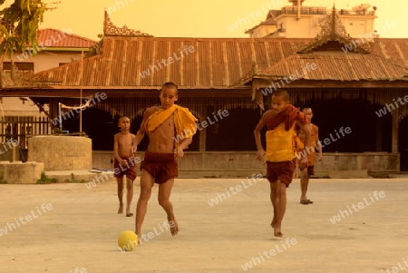 Young Monks Play Soccer in a Pagoda in the town of Nyaungshwe at the Inle Lake in the Shan State in the east of Myanmar in Southeastasia.