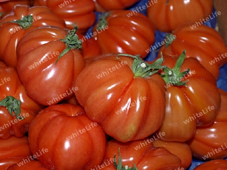 Tomate Ochsenauge