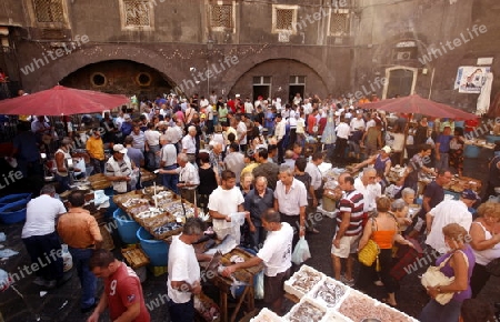 The Fishmarket in the old Town of Catania in Sicily in south Italy in Europe.