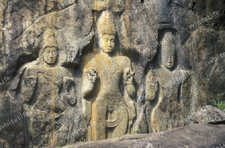 Asien, Indischer Ozean, Sri Lanka,Die Stein Buddhas von Buduruwagala bei Wellawaya an der Suedkueste von Sri Lanka. (URS FLUEELER)