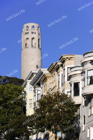 Coit Tower vor viktorianischen Fassaden in San Francisco, Kalifonien, USA