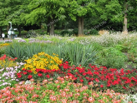 Sommerliche Blumenpracht in Planten un Blomen