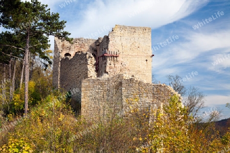 Burgruine Lobdeburg