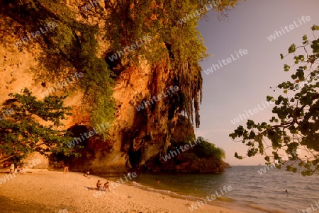 The Hat Phra Nang Beach at Railay near Ao Nang outside of the City of Krabi on the Andaman Sea in the south of Thailand. 