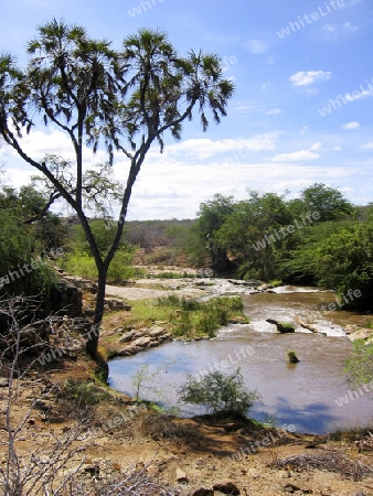 Fluss in Afrika