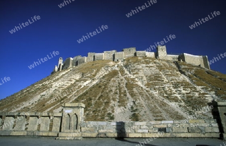Die Zitadelle in der Altstadt von Aleppo im Norden von Syrien im Mittleren Osten in Arabien.